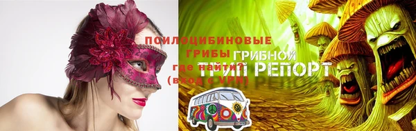 винт Медвежьегорск