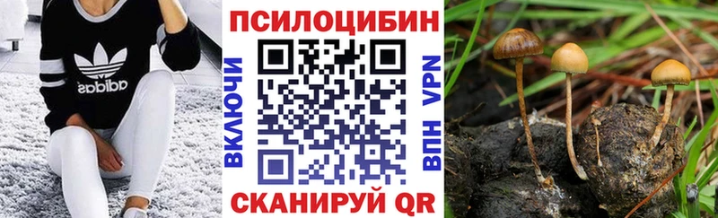 Галлюциногенные грибы Psilocybine cubensis  hydra   Джанкой 