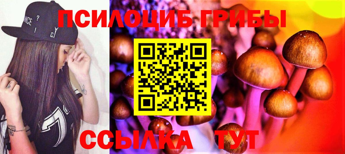 Псилоцибиновые грибы прущие грибы  Вход с VPN  Джанкой 